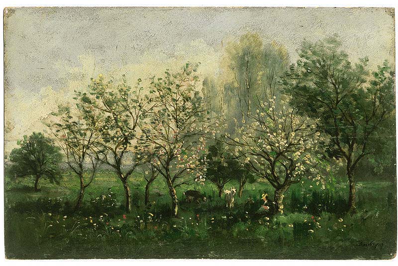 Apple Trees in Blossom